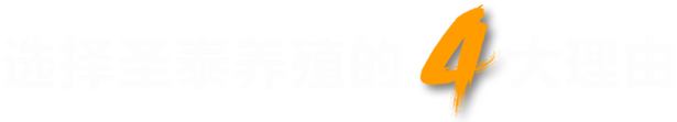 圣泰養(yǎng)殖