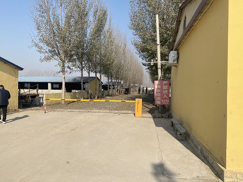 養(yǎng)殖實(shí)景