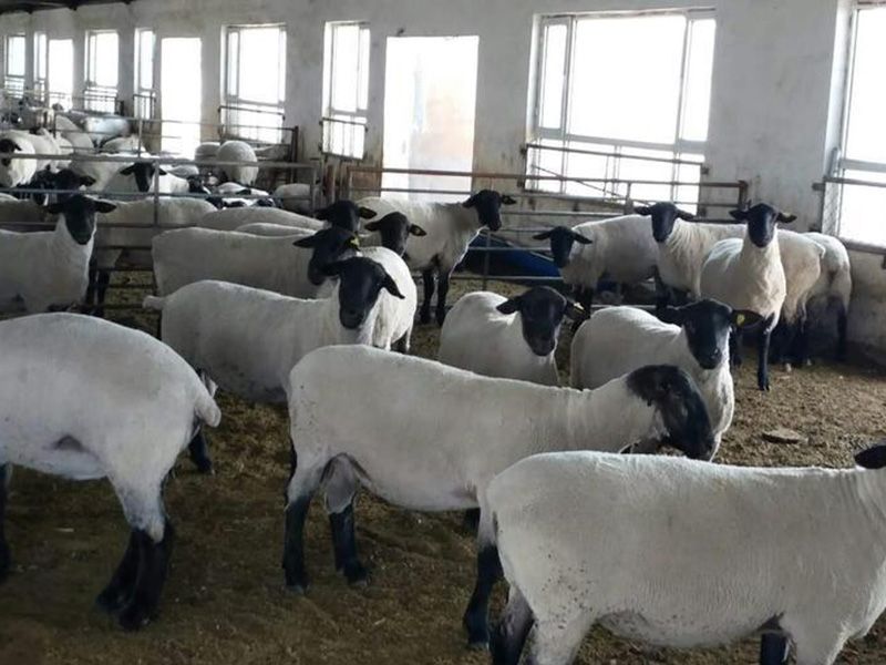 薩?？搜?></a></dt>
<dd><a href=