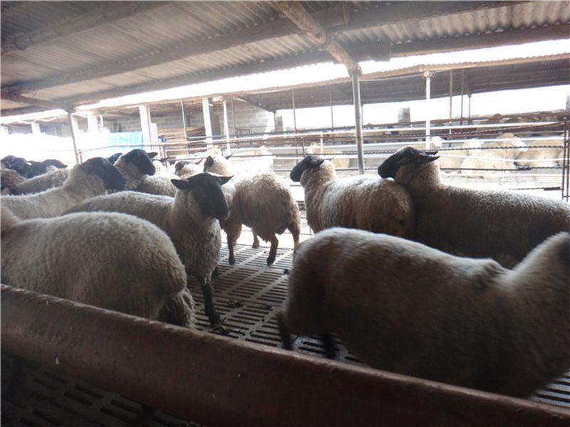 薩?？搜?></a></dt>
<dd><a href=