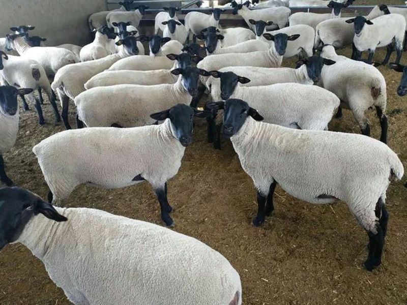 薩?？搜?></a></dt>
<dd><a href=