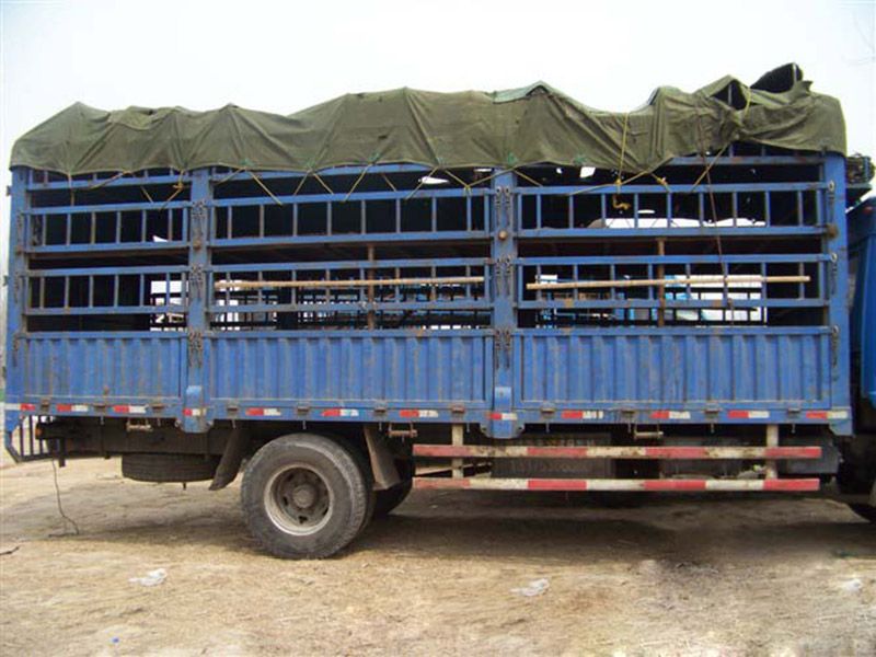 運(yùn)輸車(chē)輛