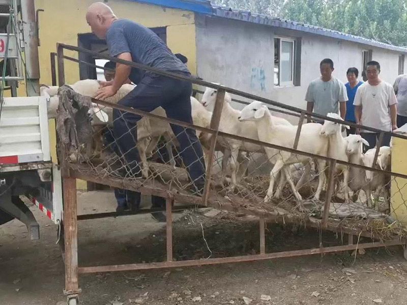 養(yǎng)殖實景（視頻）
